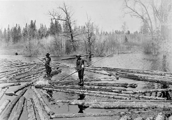 Log pond with two lumberjacks walking on the floating logs and sorting them in the Peshtigo River area.