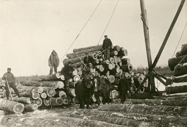 Using a team of two horses, men stack logs at McCann's lumber camp landing.  The camp was in Couderay in Sawyer County on the line of the Chicago, Milwaukee, St. Paul and Omaha Railroad.