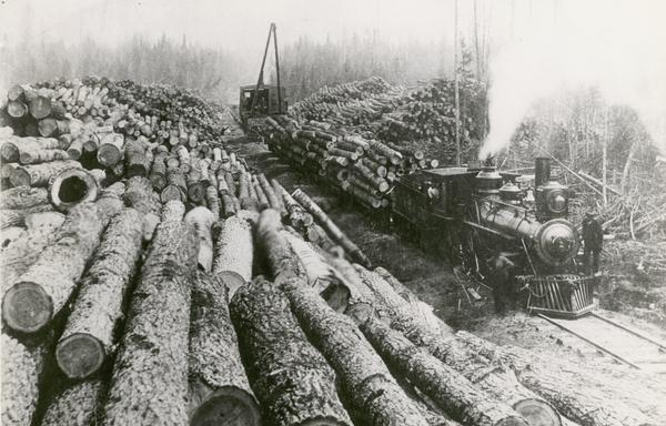 Roddis Lumber and Veneer Company locomotive Number 1, loaded with logs and flanked by large piles of logs.