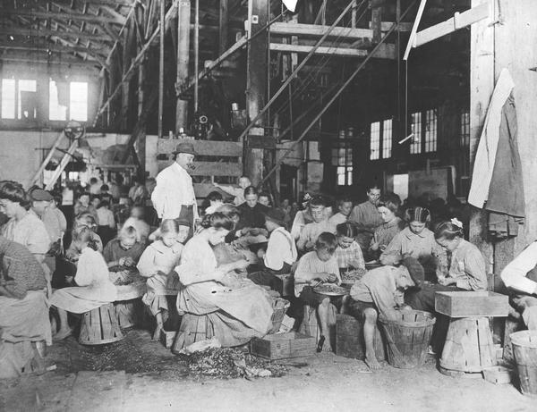 Children working in a vegetable cannery as the supervisor with pipe in his mouth stands over them.