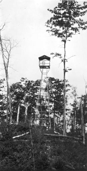 Fire lookout station in Northern Wisconsin forest next to tall trees.
