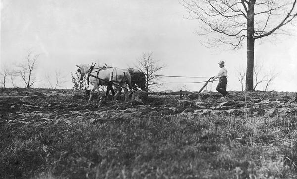 Farmer plowing a field with two horses.