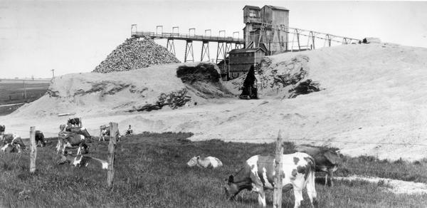 Blockhouse lead mine with cows grazing.