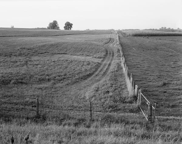 Several fields containing wagon tracks along the side of a fence, in the vicinity of Highway P.