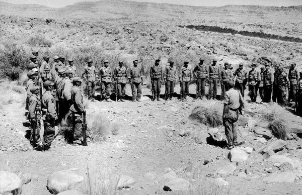 Soldiers lined up in the Algerian desert.