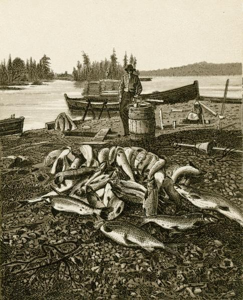 Two tone lithograph of a pile of Lake Superior whitefish and trout on the lakeshore with a man and boat in the background.