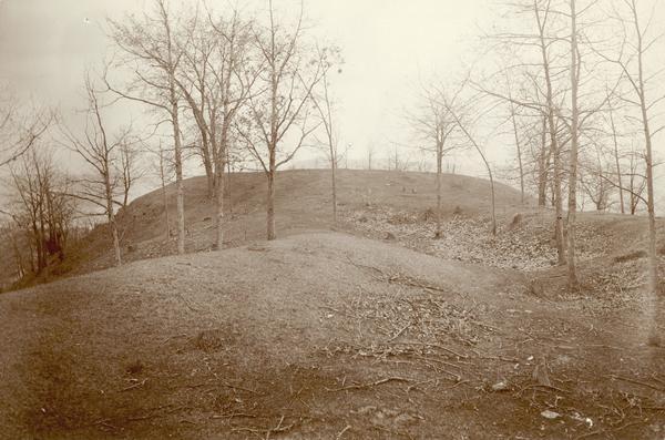 Largest platform mound in Trempealeau as seen from the north.