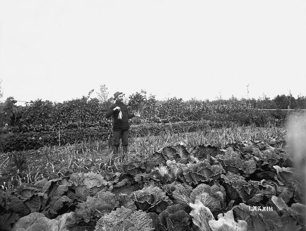 A farmer stands in his vegetable field.