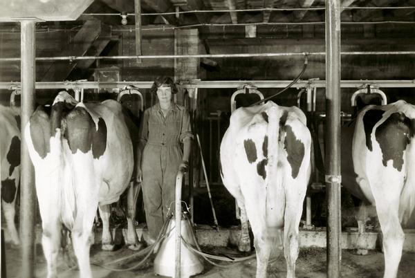 A woman runs the milking operation at the G.L. Hamon dairy farm.
