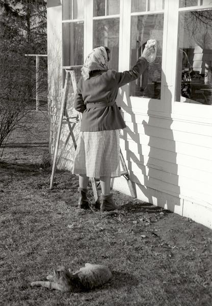 Edna Kern washing the windows outside her house. A cat is lying on the lawn in the foreground.