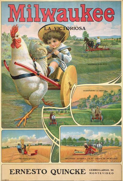 Advertising poster showing a Milwaukee brand mower, grain binder, hay rake and reaper manufactured by International Harvester Company. Features a color illustration of a child sitting in a two-wheeled cart pulled by a giant chicken. Other inset illustrations depict men using agricultural machinery in fields. Imprinted in Spanish with the dealer name Ernesto Quincke of Montevideo, Argentina. Includes the text: "Milwaukee La Victoriosa."