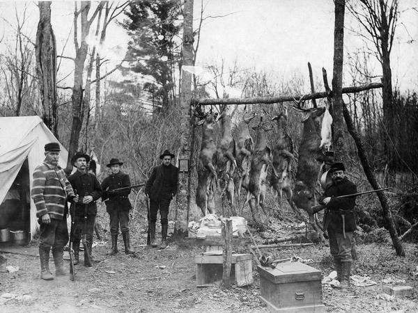 Five deer hunters posing at a camp next to deer carcasses hanging up on a log pole.