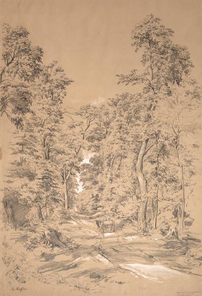 Pencil drawing of a dirt road through the woods with added white highlights.  A horse-drawn wagon with two passengers moves down the road in the distance, dwarfed by the surrounding deciduous trees.