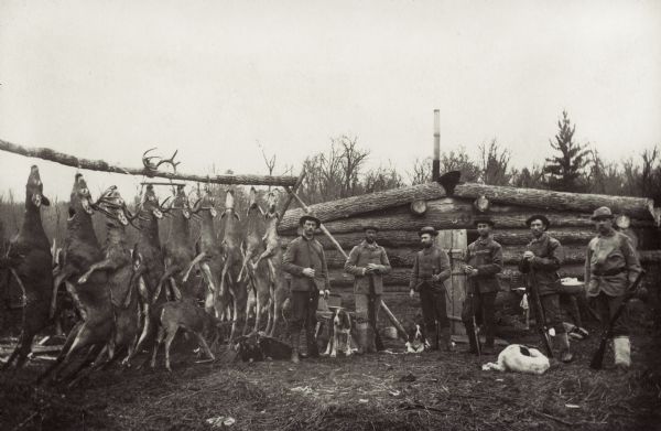 Deer hunters' camp in Northern Wisconsin. Image includes six hunters and their dogs posed in front of their cabin with hanging deer carcasses.