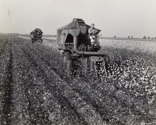 Two cotton pickers, the first driven by Fowler McCormick, president of the International Harvester Company, drive through a field on the Hopson Planting Company's plantation to demonstrate the effectiveness of the new machines.