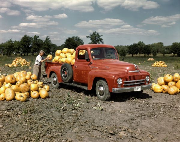 Color photograph of a farmer filling a red International Harvester L-120 truck with pumpkins.