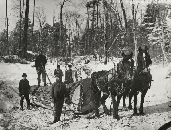 Winter scene with lumber workers hauling a large log with horses.