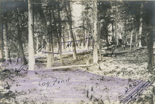 Site in a forest of a mill, a log pond, and a dam. The location of the mill, pond and dam are sketched on the photograph.