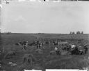 Men Examining McCormick Grain Binder in Field