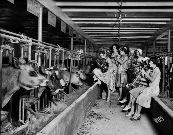 The Ingenues, an all-girl band and vaudeville act, serenading the cows in the University of Wisconsin-Madison Dairy Barn in a scientific test of whether the cows would give more milk to the soothing strains of music. The tallest woman, second from left, is Dorothy Donohoe. Standing behind her is her sister Juel Donohoe, who is mostly obscured by the trombone player.