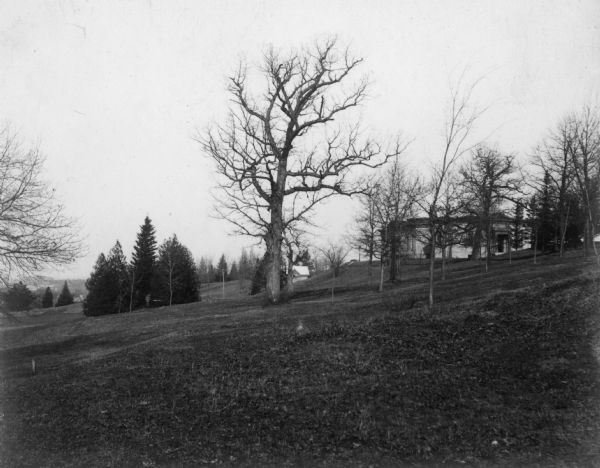 View of a hillside with trees. The Washburn Observatory is visible in the background.