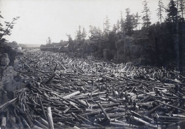 Several men standing amidst a huge log jam on the St. Croix River. The men are standing in a line holding a rope. A bridge spans the river in the far background.