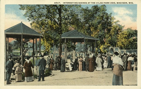 Early souvenir postcard showing people viewing the bird cages at the Henry Vilas Zoo (Vilas Park Zoo). Caption reads: "Interesting Scenes at the Vilas Park Zoo, Madison, Wis."
