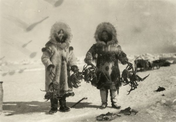 Wenga and Amutuk catching crabs in the Arctic.