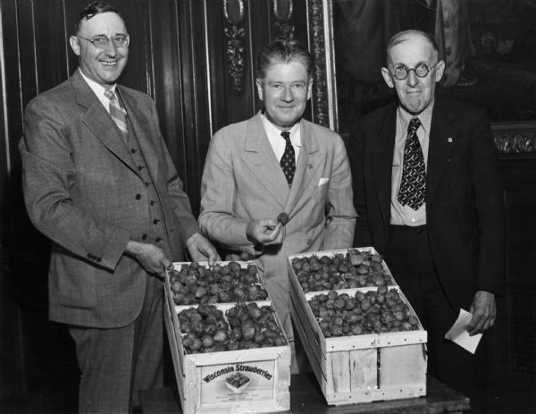 Three men pose with boxes of Wisconsin strawberries at the Strawberry Festival. From left to right are Rex Eberdt, who is the manager of Warrens Fruit Growers Coop, Governor Phil La Follette, and William Handutt of the Sparta Coop.