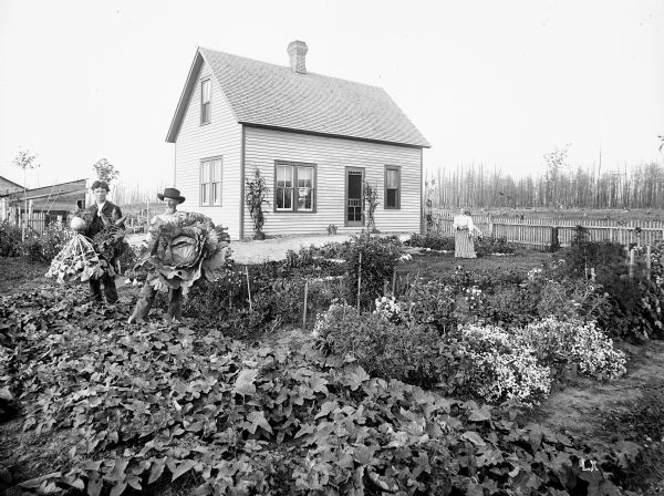 Julius Koehler family in their garden in front of their newly built frame home. The original Koehler farm was destroyed by forest fire in July of 1894, evidence of which is left in the burnt trees in the background.