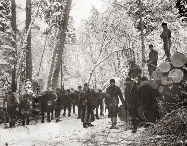 A Knapp, Stout & Company crew with J. Bracklin (in fur coat), logging superintendent.