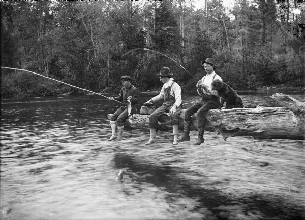 Three fishermen and a black dog sit on a log overhanging a river. One man is reeling in a fish and another holds his catch. The man in the middle is holding a turtle on top of a creel.