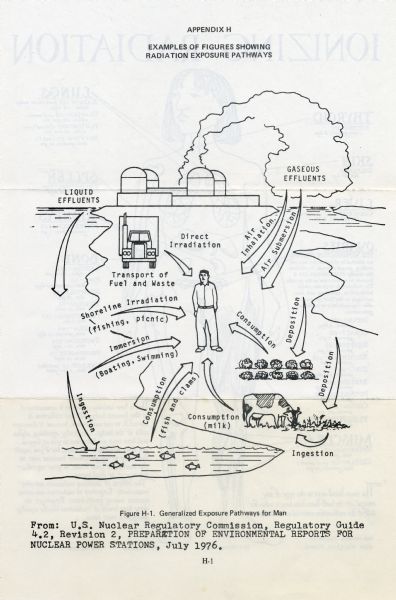 Diagram showing environmental means by which humans can be exposed to radiation from nuclear power plants.