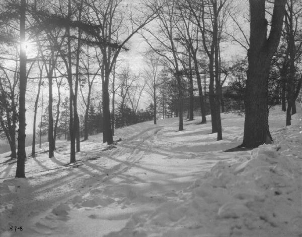 Winter scene of trees on a snowy hill along University Drive. There is a building at the top of the hill obscured by trees.