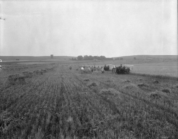 Harvesting grain with horse-drawn machinery at Farm Colony, Wisconsin State Hospital for Insane (Mendota Mental Health Institute), Highway 113.