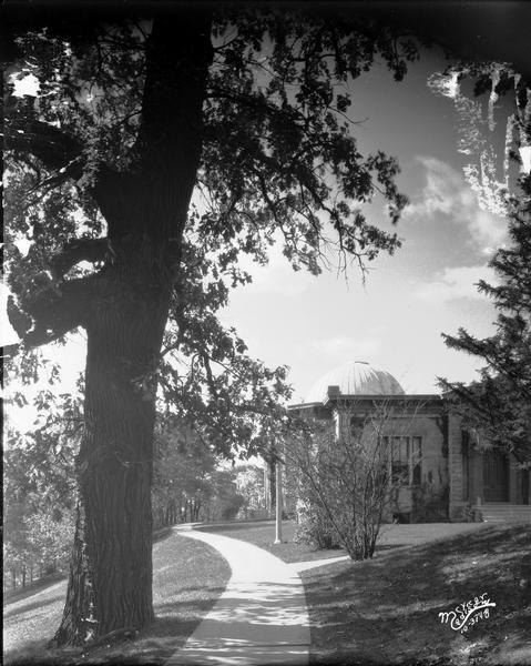 Oak tree near Washburn Observatory on the University of Wisconsin-Madison campus.