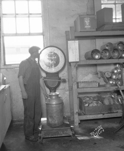 Toledo scale at Mt. Horeb Creamery, with a man weighing a milk can.