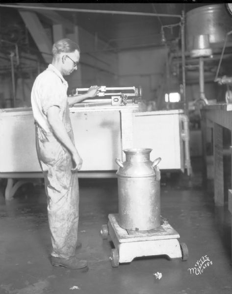 Man weighing milk can on old platform scale at Federation Creamery.