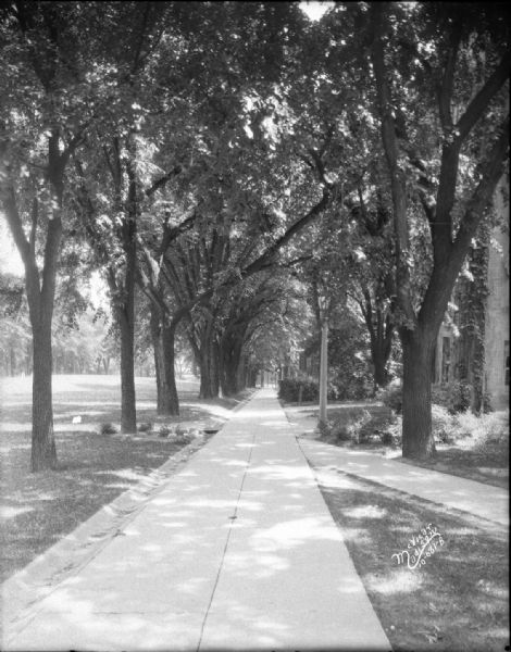 Campus sidewalk past South Hall, University of Wisconsin-Madison.