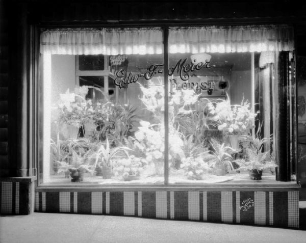 Illuminated store window at Edward F Meier's florist shop at 101 W. Mifflin Street.
