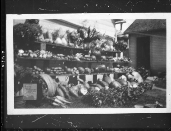 Copy of a photo of plant and food display of the "Great Northern Seed Company."