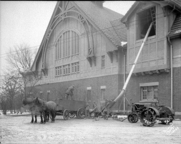 Unloading oats at the Stock Pavillon. In front a man is standing on a horse-drawn wagon near a tractor powering a grain elevator.
