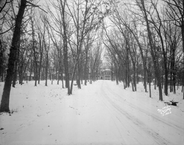 View down snowy road towards a group of cottages at Normandale (now Oakwood Village, 6209 Mineral Point Road) in a grove of trees in the winter.