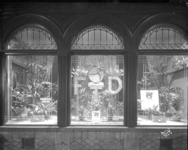 F.T.D. display window, Edward F. Meier florist inc. 101 West Mifflin Street.