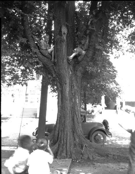 Paul Vilbrandt and Herbie Van Abel sitting in a tree, 1217 W Dayton Street, hoping to break the tree sitting record of Jimmie Clemons of Racine. They placed first and set a new world's record.