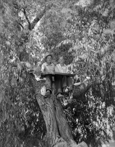 Rolland Anders, 15, 3205 Milwaukee Street, and Roy Dennis, 14, 26 Bryan Street, sitting in a tree at the corner of Bryan and Thorp Street hoping to break the tree sitting record of Jimmie Clemons of Racine. They placed 3rd.