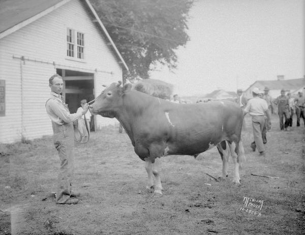 George Drumasky with champion Brown Swiss bull at the Dane County fair.