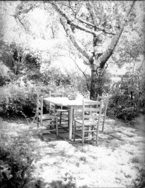 William and Ruth Page outdoor breakfast nook with table and chairs beside birch tree. 515 N. Carroll Street.
