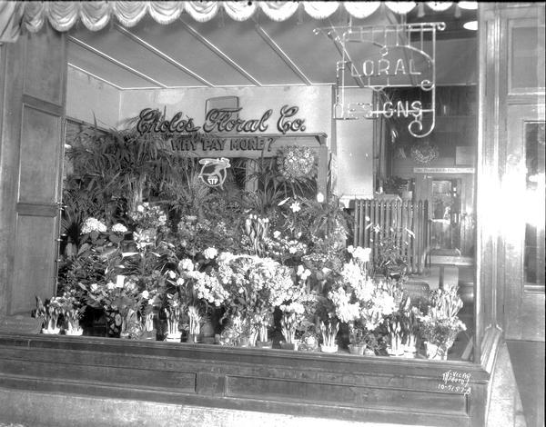Choles Floral Co., 22 S. Carroll Street, floral window display. Shows neon sign: "Floral Designs."