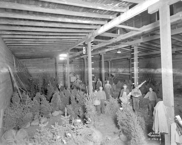 Elevated view of a group of employees standing beside nursery stock inside the McKay Nursery warehouse.